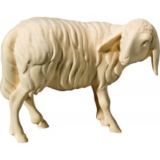 Sheep looking back (without base) 18 cm Serie [6x7,7cm] Natural maple