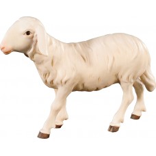 Sheep walking (without base) 18 cm Serie Colored maple