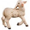 Lamb head upholding 18 cm Serie Colored maple