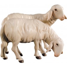 Double sheep 18 cm Serie Colored maple