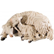 Double sheep lying 32 cm Serie Colored maple
