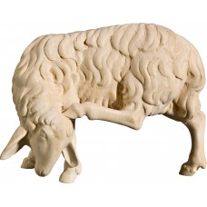 Sheep scratching 18 cm Serie Natural maple