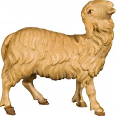 Sheep bleating 40 cm Serie Stained+tones maple