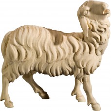 Sheep bleating 40 cm Serie Natural maple