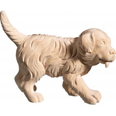 Cachorro Golden Retriever 50 cm Serie [12x17cm] Natural tilo