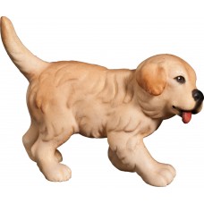 Golden Retriever puppy 40 cm Serie [7,5x10cm] Colored maple