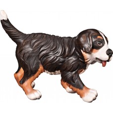 Bernese mountain dog puppy 50 cm Serie [12x17cm] Colored linden
