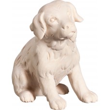 Saint Bernard puppy 32 cm Serie [6x6cm] Natural maple
