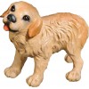 Golden Retriever puppy 50 cm Serie [12x17cm] Colored linden