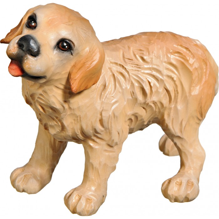 Golden Retriever puppy 50 cm Serie [12x17cm] Colored linden