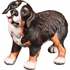 Cachorro Boyero de Berna 50 cm Serie [12x17cm] Color tilo